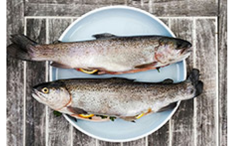 水產(chǎn)品